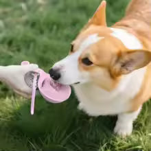 PocketPaw 2-in-1 Portable Dog Water Bottle